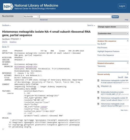 WhatsApp Image 2024 04 26 at 23.12.05 ad744e17